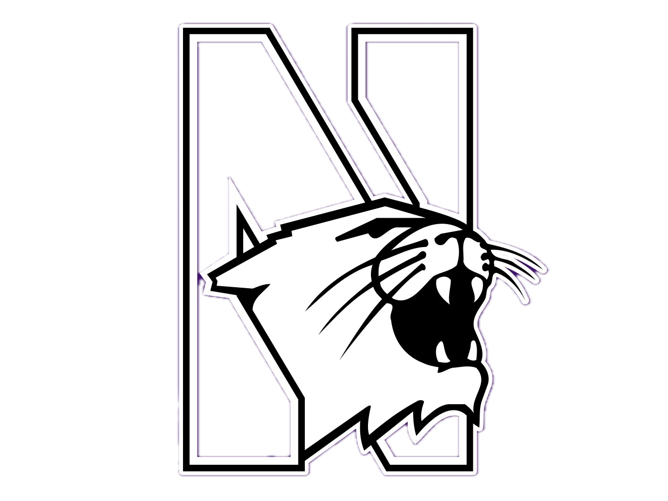 Northwestern_Wildcats Background Removed