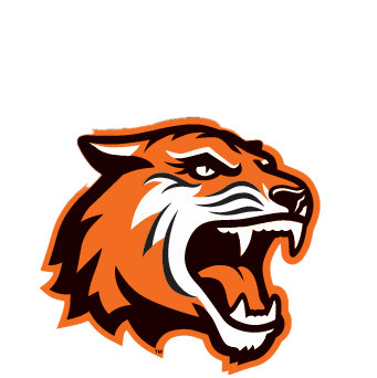 RIT Background Removed